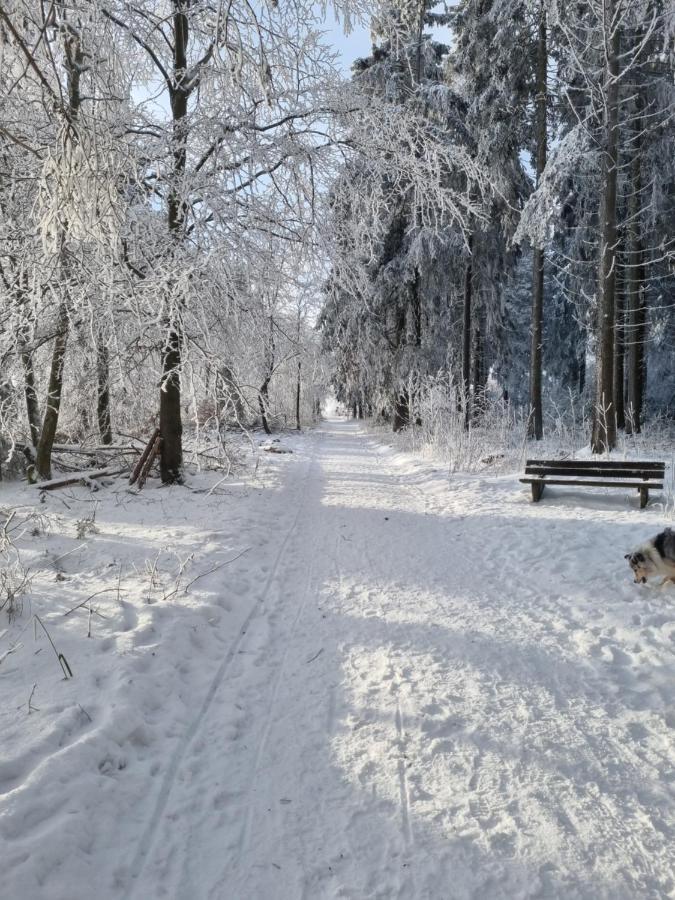 Ferienwohnung Schanzenblick Winterberg Exteriér fotografie
